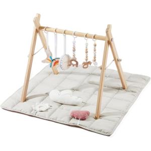 Foldable Baby Play Gym with Mat, Wooden Play Gym with 9 Sensory Toys, Frame Activity Center, Natural Pine Wood, Montessori Toys, Easy to Assemble & Clean, Newborn Gift, Blue Color(Wooden Baby Gym With Mat)